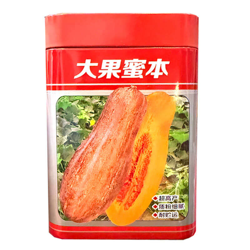 大果蜜本南瓜种子易坐果质粉细腻糖分高腊粉重耐贮运