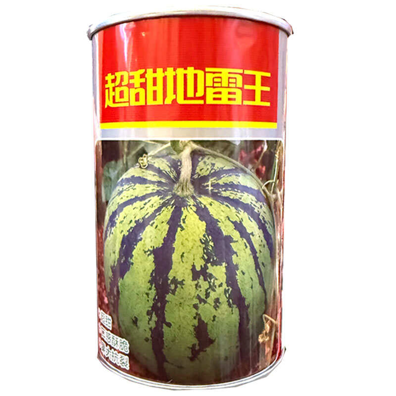 超甜地雷王西瓜种子早熟杂交耐重茬果肉大红汁多口感酥甜