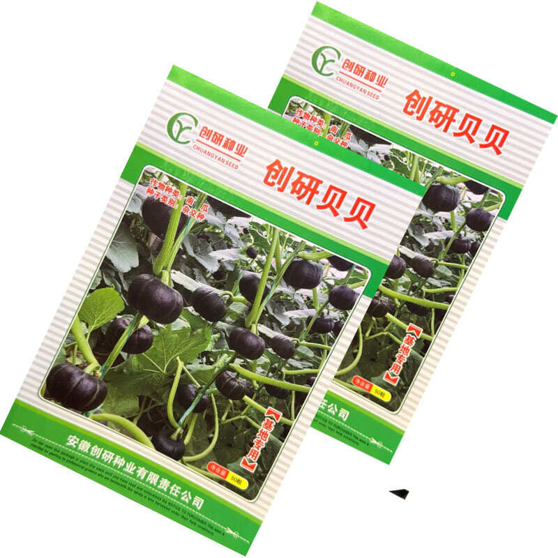 创研贝贝南瓜种子早熟迷你贝贝南瓜种籽肉厚腔小味甜基地种植