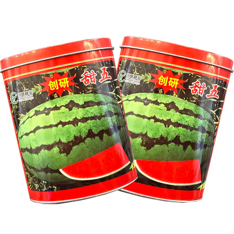 创研甜王西瓜种子中早熟杂交西瓜种籽抗病耐重茬少籽基地种植