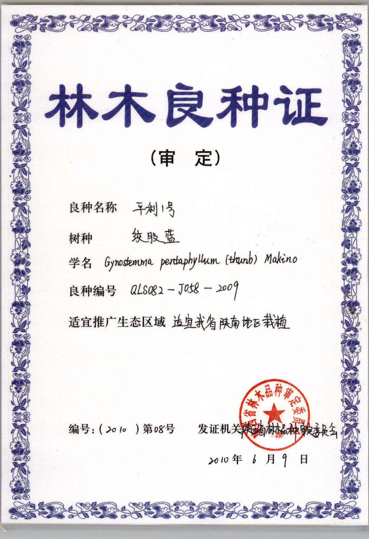 平利绞股蓝龙须茶统货（有机种植）