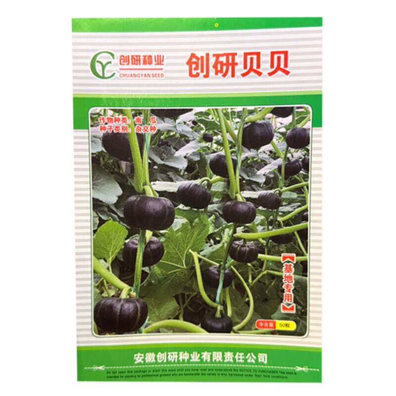 创研贝贝南瓜种子早熟迷你贝贝南瓜种籽肉厚腔小味甜基地种植