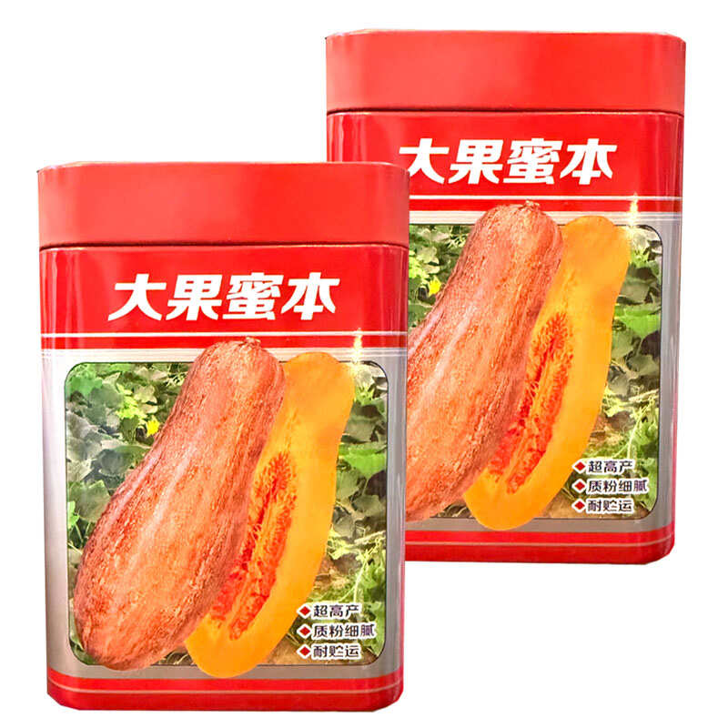 大果蜜本南瓜种子易坐果质粉细腻糖分高腊粉重耐贮运