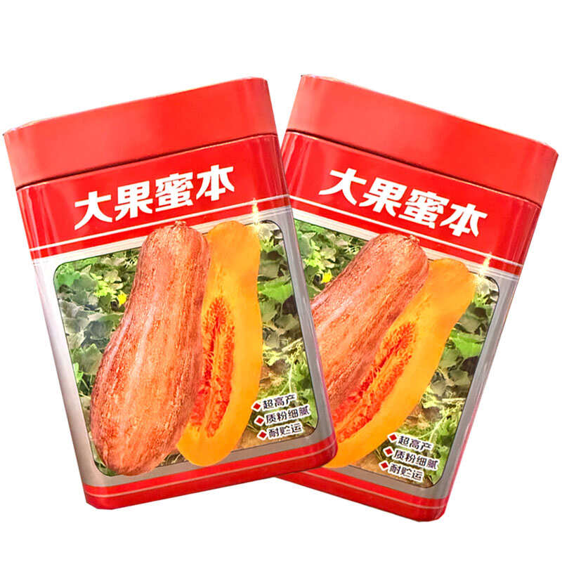 大果蜜本南瓜种子易坐果质粉细腻糖分高腊粉重耐贮运