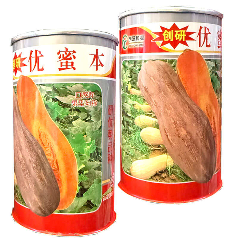 优蜜本南瓜种子中熟蜜本南瓜种籽果面有腊粉有棱沟果型匀称