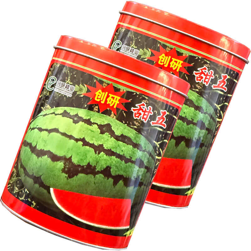 创研甜王西瓜种子中早熟杂交西瓜种籽抗病耐重茬少籽基地种植