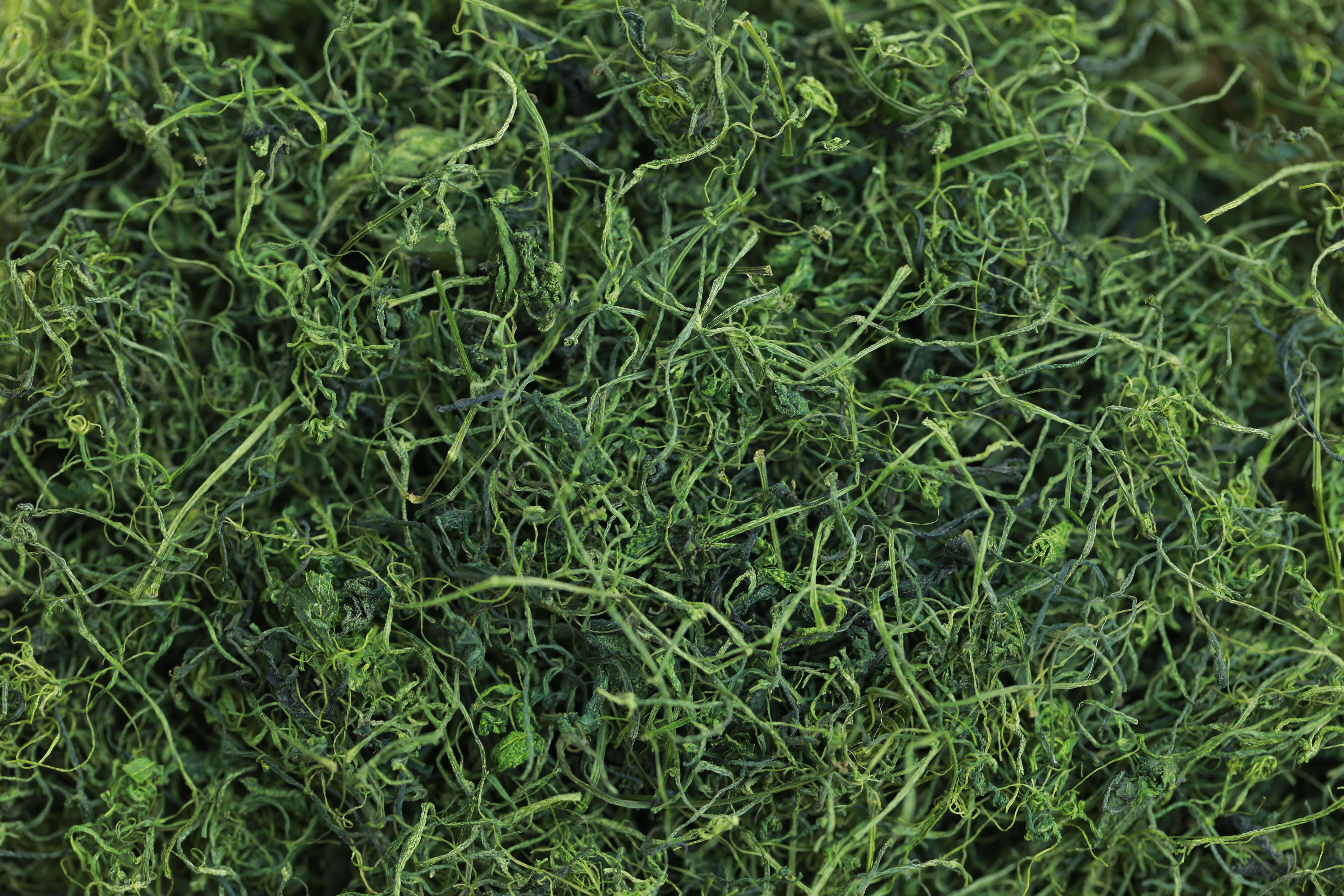 平利绞股蓝龙须茶统货（有机种植）