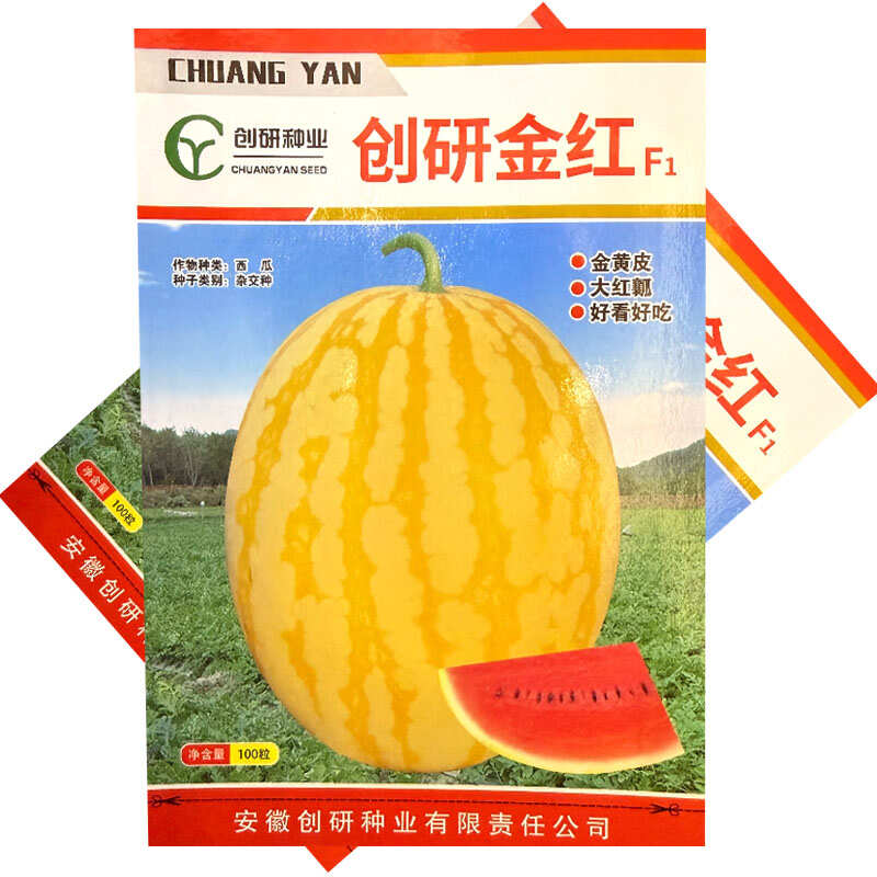 创研金红黄皮红肉西瓜种子杂交早熟红瓤西瓜种籽基地种植
