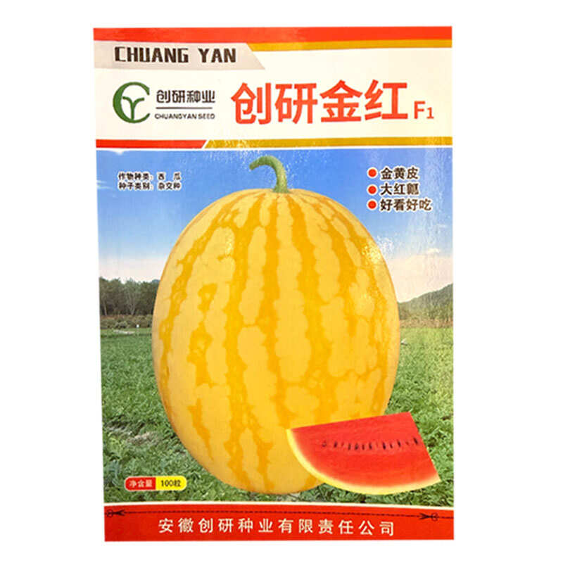创研金红黄皮红肉西瓜种子杂交早熟红瓤西瓜种籽基地种植