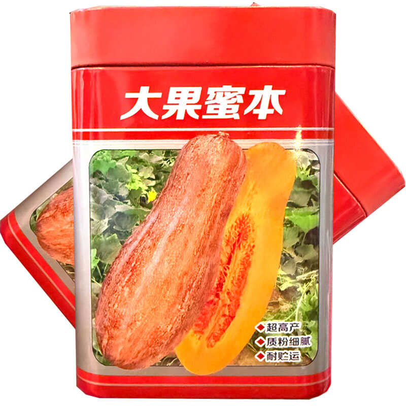 大果蜜本南瓜种子易坐果质粉细腻糖分高腊粉重耐贮运