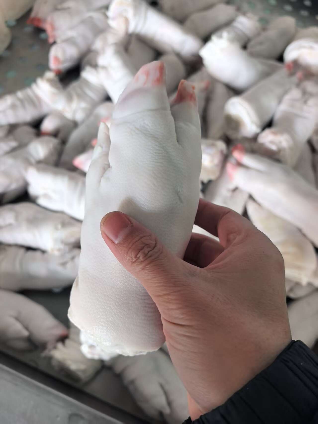 纯干猪手，无注水，大小均匀，人工去毛，毛净度高