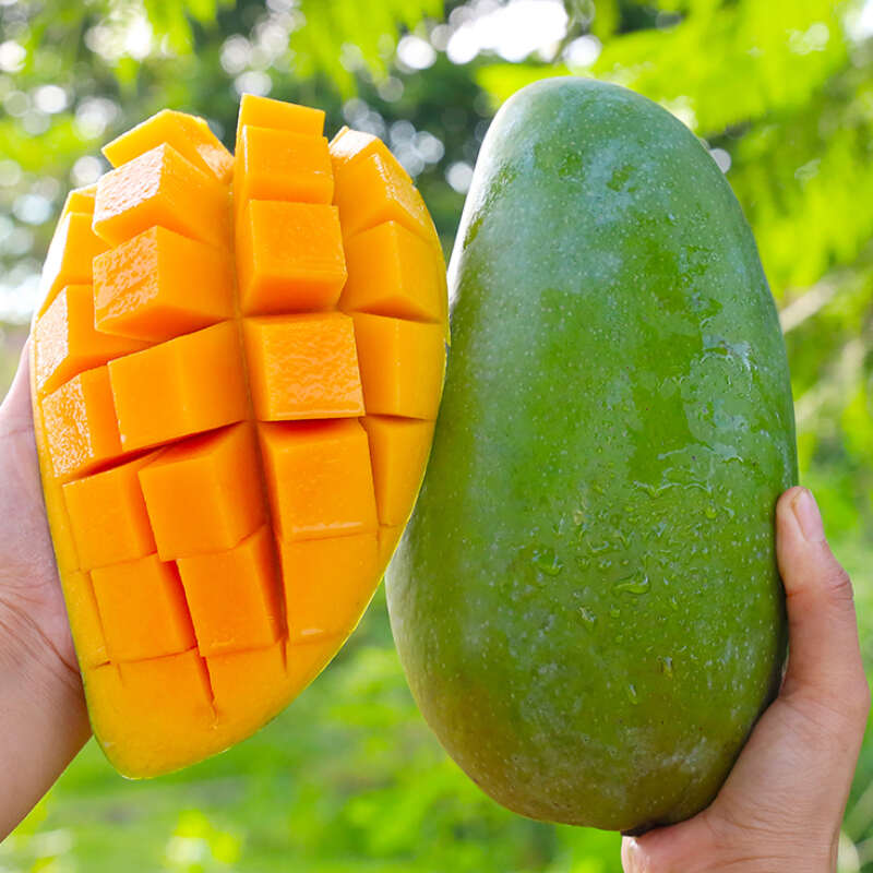 云南大青芒新鲜水果越南青芒果热带应季现摘特产金煌芒青皮大果