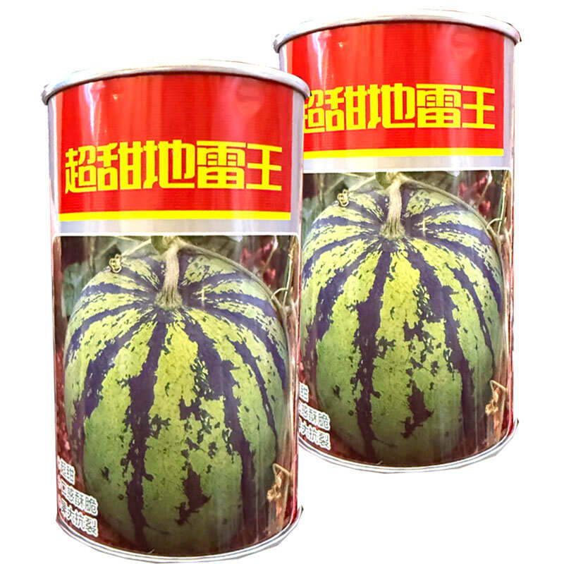 超甜地雷王西瓜种子早熟杂交耐重茬果肉大红汁多口感酥甜