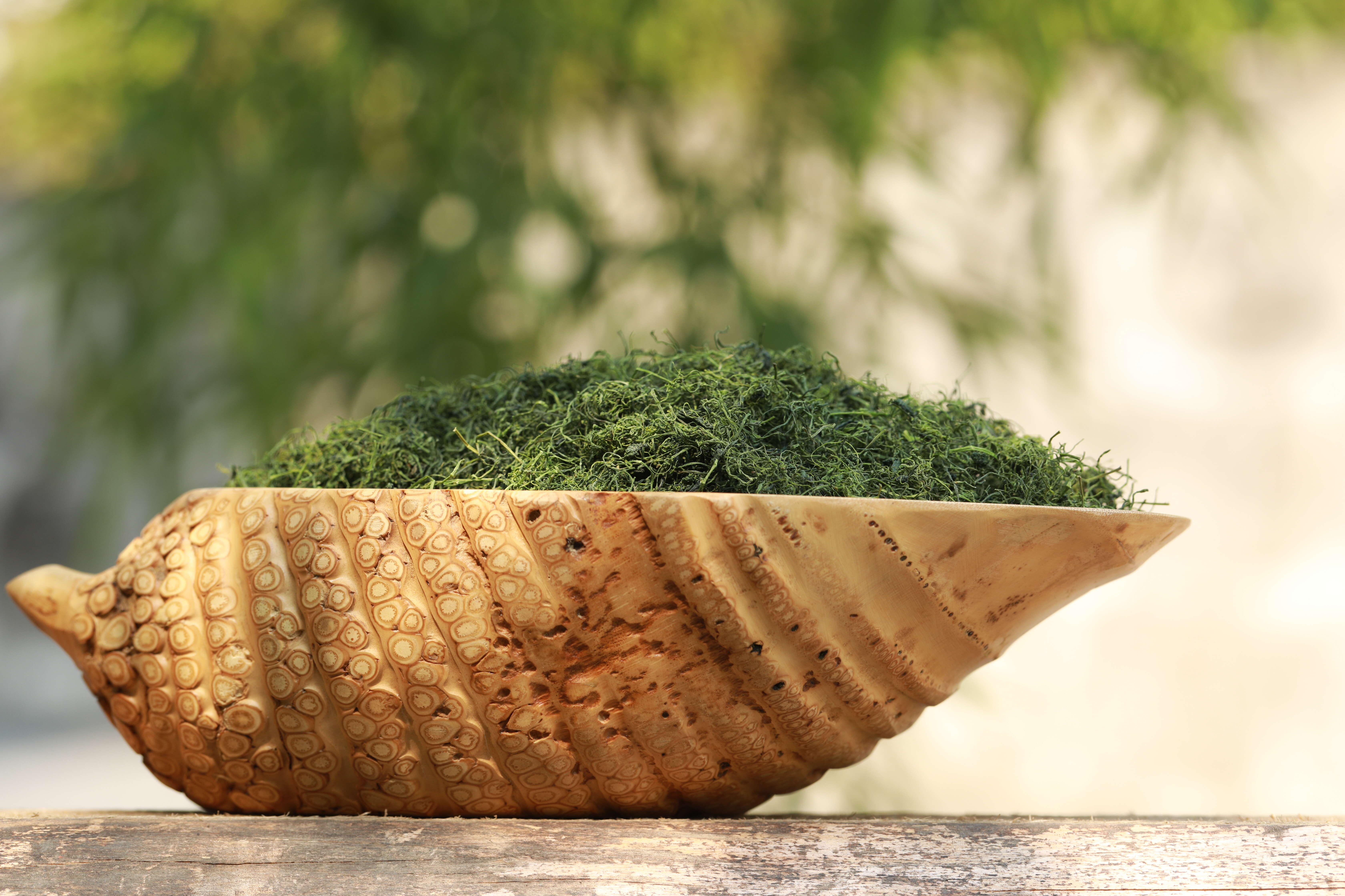 平利绞股蓝龙须茶统货（有机种植）