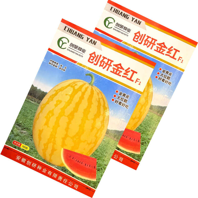 创研金红黄皮红肉西瓜种子杂交早熟红瓤西瓜种籽基地种植