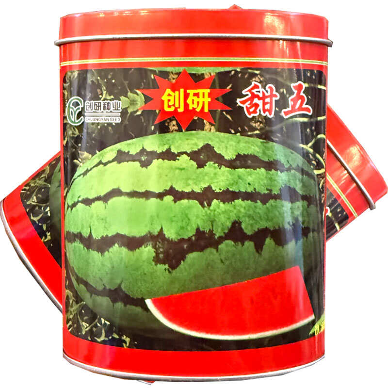 创研甜王西瓜种子中早熟杂交西瓜种籽抗病耐重茬少籽基地种植