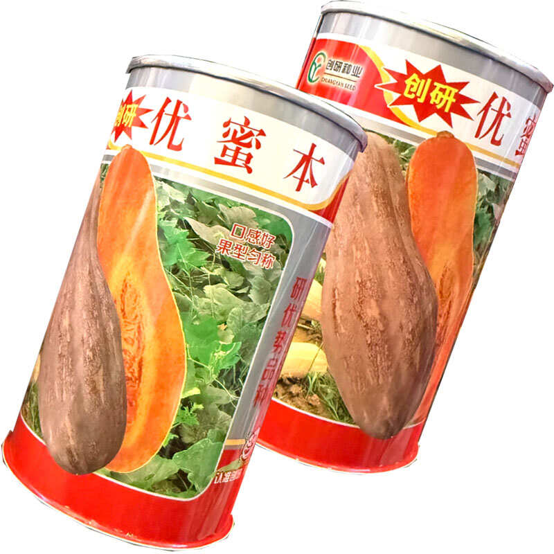 优蜜本南瓜种子中熟蜜本南瓜种籽果面有腊粉有棱沟果型匀称