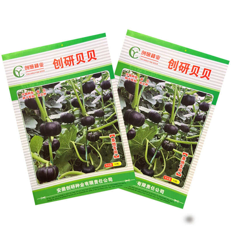 创研贝贝南瓜种子早熟迷你贝贝南瓜种籽肉厚腔小味甜基地种植