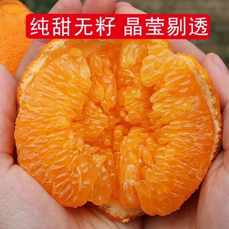 四川耙耙柑 清甜化渣 果肉细腻皮薄如纸 一剥就开 清甜爽