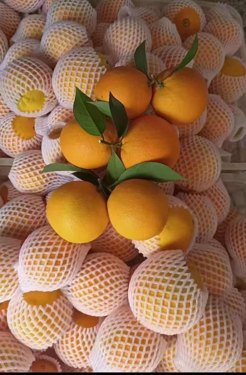 江西赣南脐橙寻乌产区 新鲜采摘对接市场社区团购电商平台批发