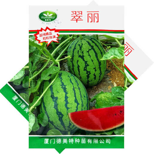 建瓯市翠丽翠玲西瓜种子早熟薄皮耐裂早春红玉4K西瓜种子