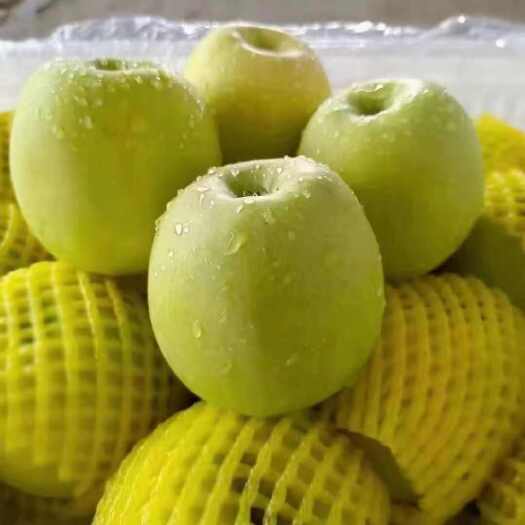 榆林山地有机瑞雪·黄金脆甜果·精品礼盒装