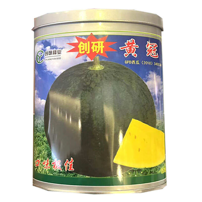 创研黄冠西瓜种子早中熟黑皮黄肉西瓜种籽高圆形耐裂糖度高