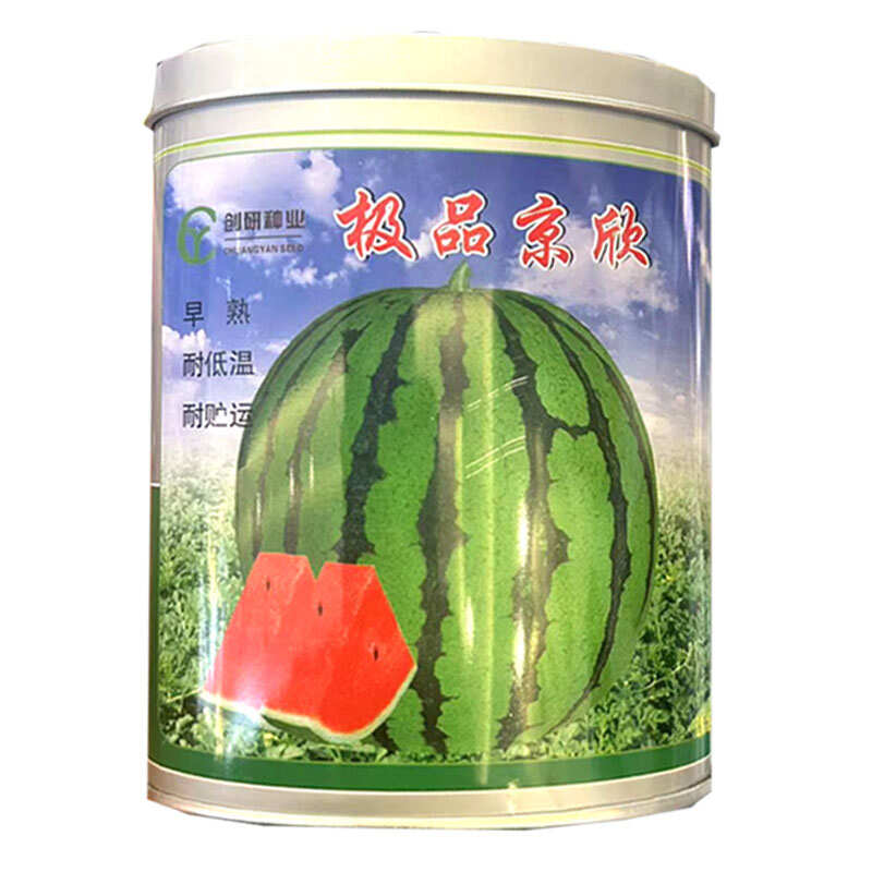 京欣西瓜种子早熟耐低温圆果型薄皮麒麟西瓜种子耐贮运