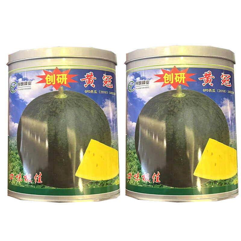 创研黄冠西瓜种子早中熟黑皮黄肉西瓜种籽高圆形耐裂糖度高