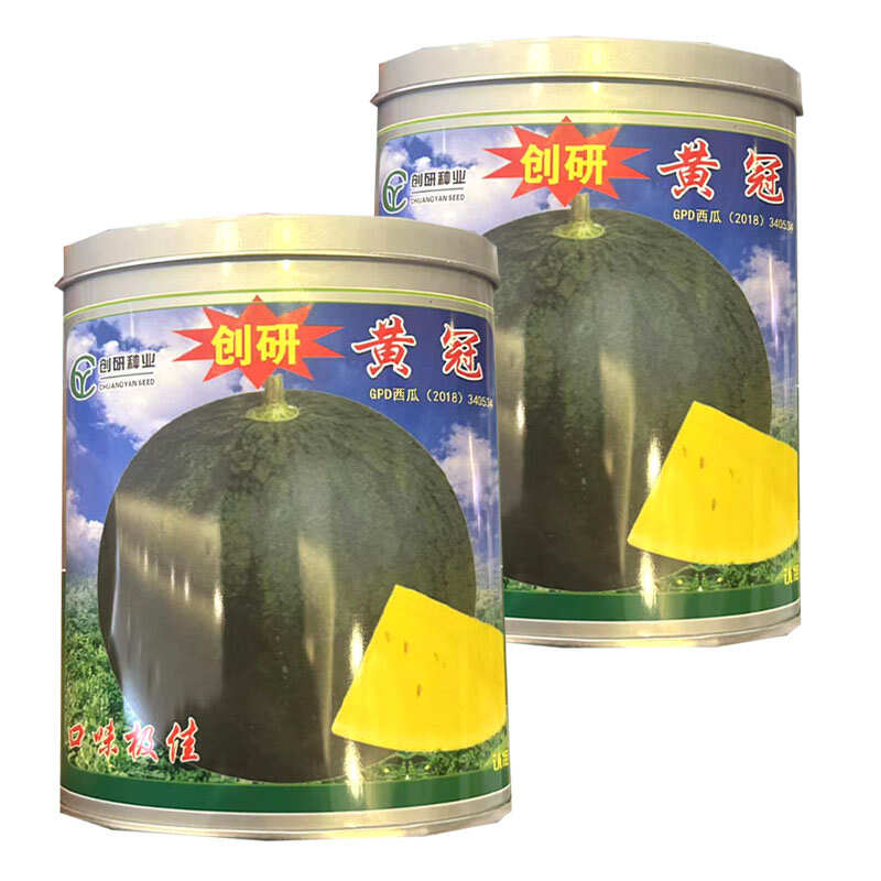 创研黄冠西瓜种子早中熟黑皮黄肉西瓜种籽高圆形耐裂糖度高