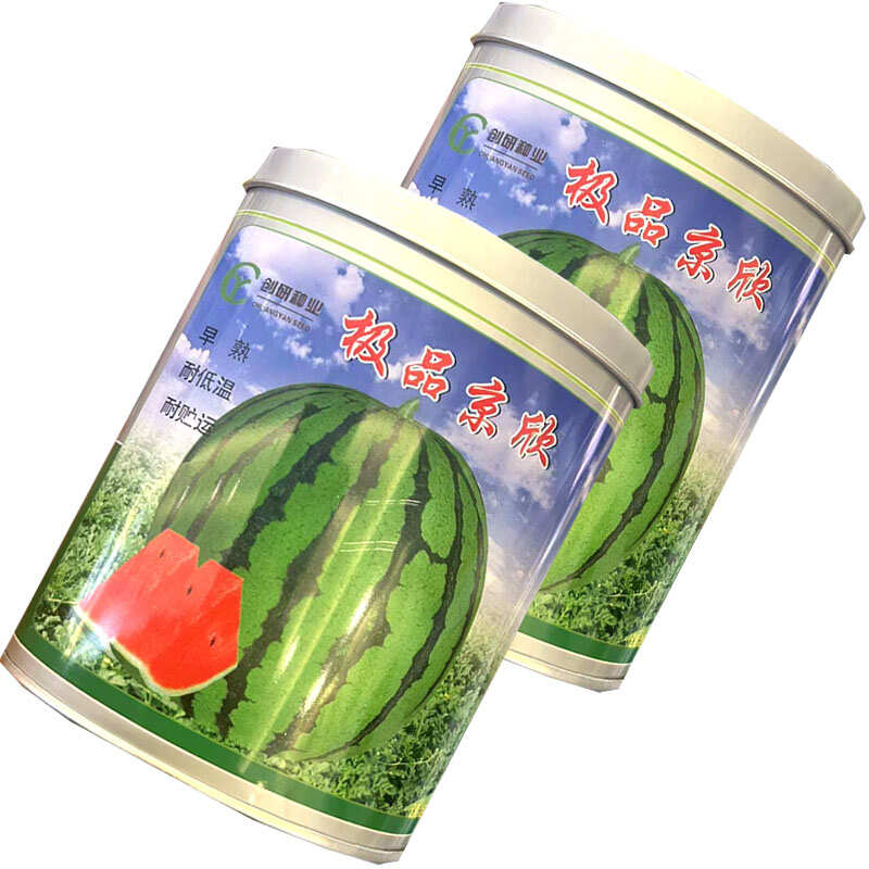 京欣西瓜种子早熟耐低温圆果型薄皮麒麟西瓜种子耐贮运