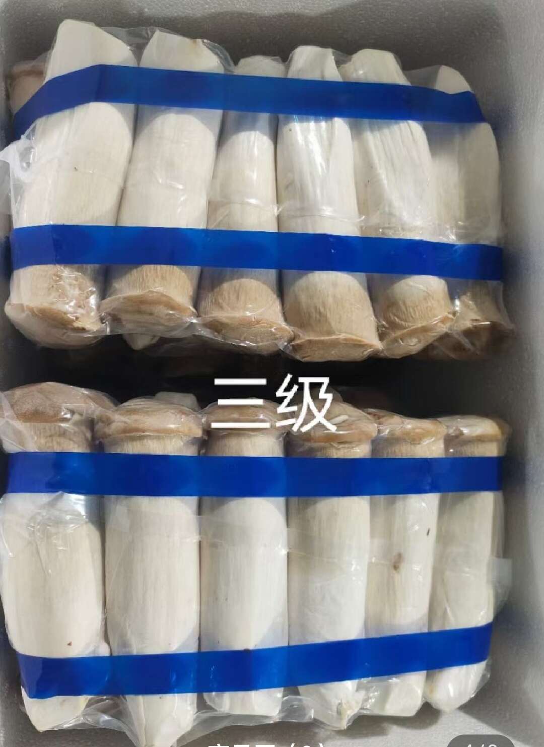 杏鲍菇 杏鲍菇基地直供 新鲜采摘 量大从优