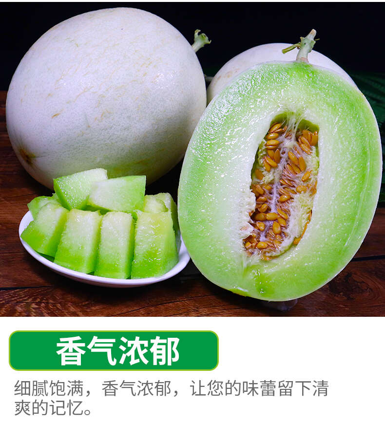 一件代发海南玉菇甜瓜对接电商直播等平台当季时令新鲜采摘现发