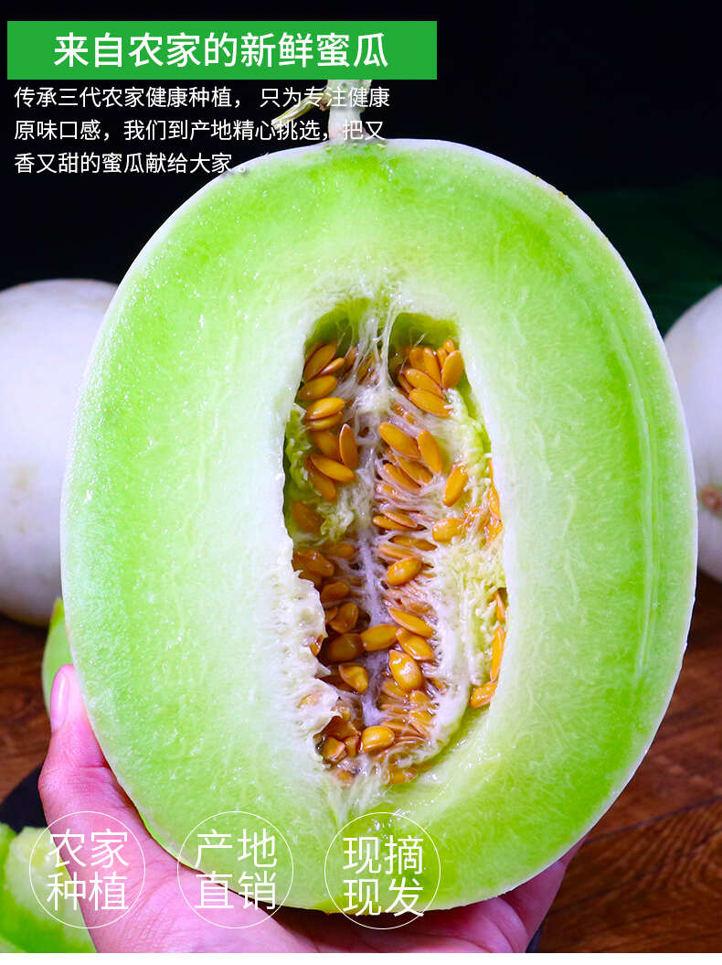 一件代发海南玉菇甜瓜供应对接电商各大平台支持全平台出单