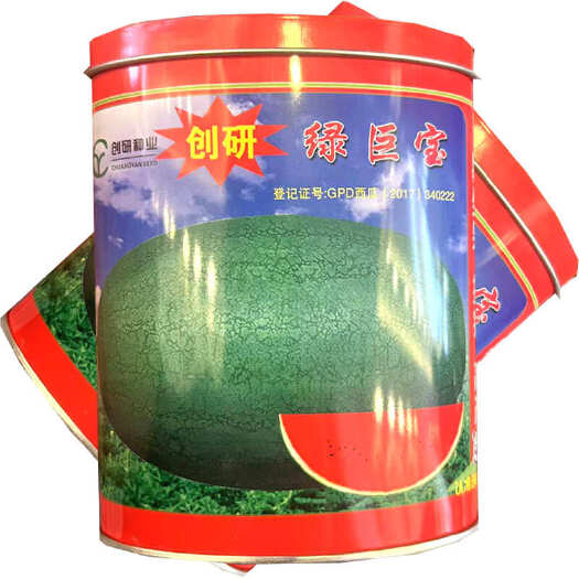 合肥绿巨宝西瓜种子中熟绿皮西瓜种子大果型红瓤基地种植