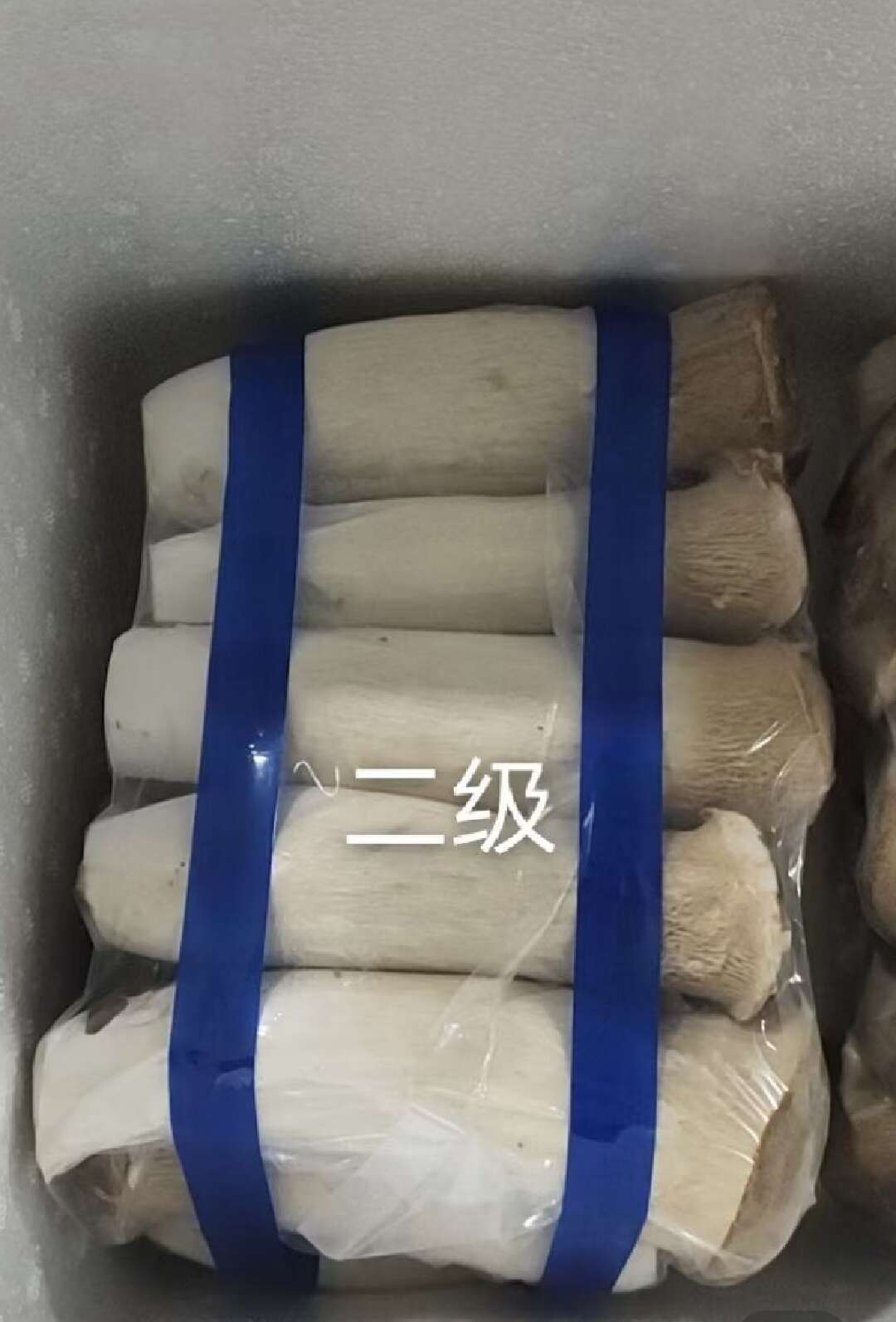 杏鲍菇 杏鲍菇基地直供 新鲜采摘 量大从优