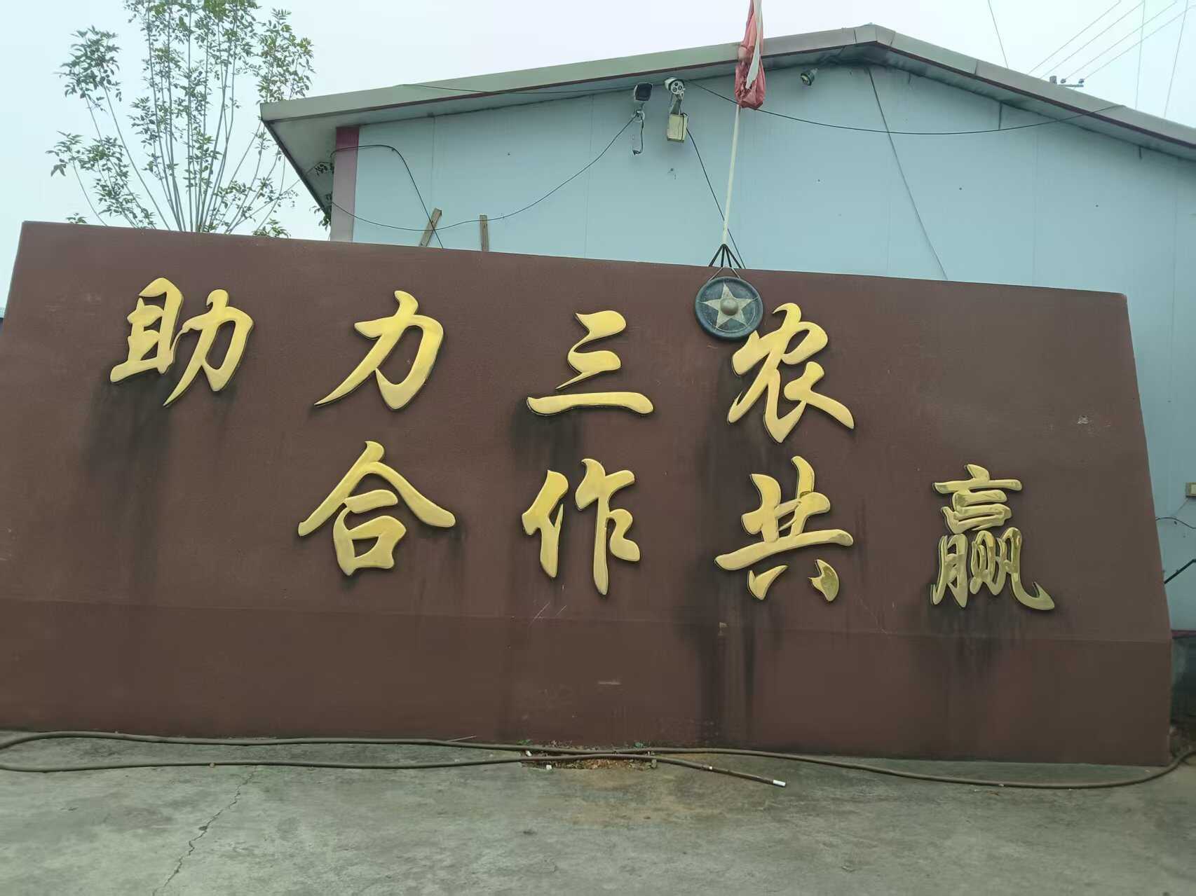 生物有机肥颗粒 有机质≥45%  有效活菌5亿/克，营养全面