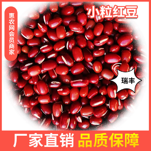 拜泉县红豆，小粒红豆（瑞丰）诚信经营品质，量大价优，欢迎对接