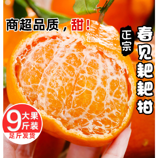蒲江县四川春见耙耙柑新鲜当季水果整箱包邮批发粑粑柑