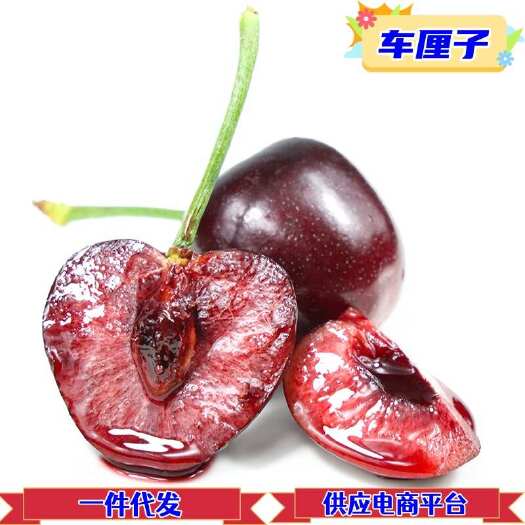 上海一件代发智利车厘子新鲜桑提纳顺丰包邮坏果包赔供应电商