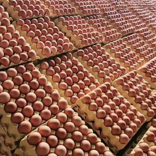 淮滨县新鲜红壳鸡蛋 大码整箱44斤左右 新鲜无抗生素无药残鸡蛋