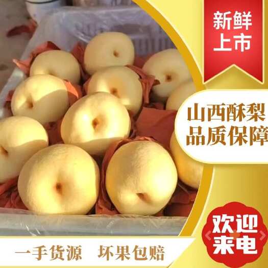 赵县【酥梨】山西贡梨酥梨优质果新鲜梨子，一手货源，大量批发