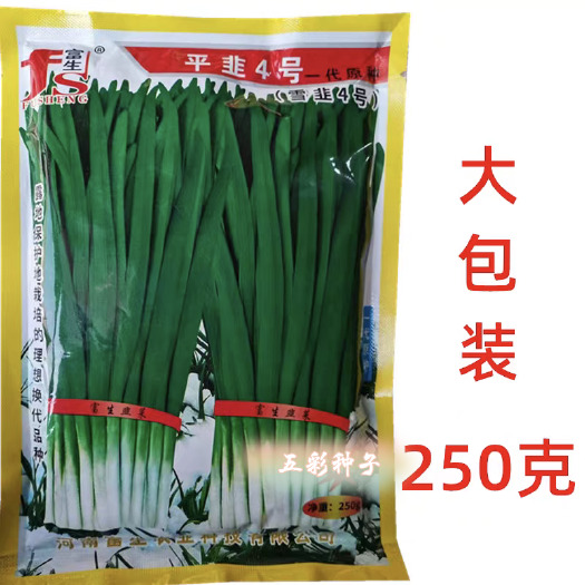 宜城市河南富生农业 韭菜种子 平韭四号韭菜种子 粗纤维少 现货直发