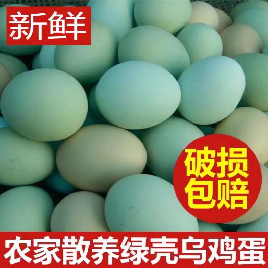 荆门新鲜绿壳乌鸡蛋农家散养绿壳土鸡蛋笨鸡蛋新鲜天然绿壳蛋包邮