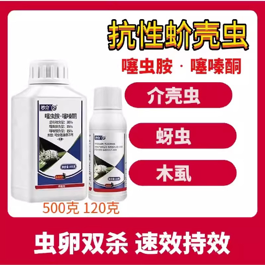 鄄城县噻嗪酮噻虫胺蚧壳虫梨木虱果树蔬菜芒果柿子树介壳虫专用杀虫剂