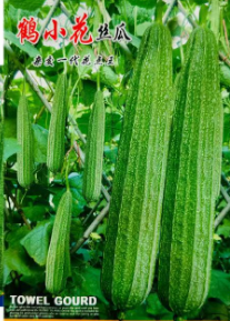 早熟丝瓜种子鹤小花丝瓜种子 大花点香甜丝瓜种子