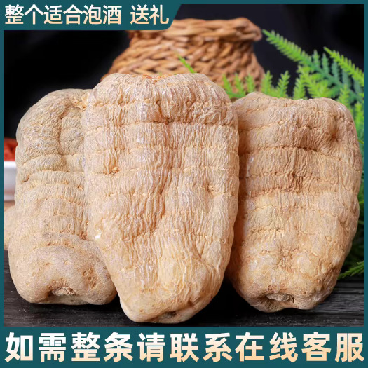 彝良县云南昭通彝良小草坝精品天麻干货精选产区天麻药用价值高天麻批发