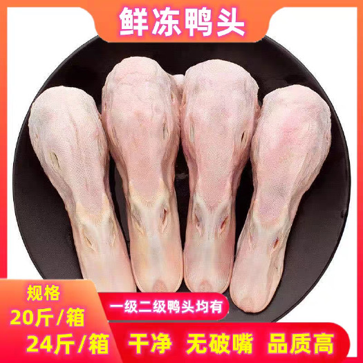 南京新鲜冷冻鸭头生鸭头 24斤鸭脑壳非鸭下巴 饭店卤味食材