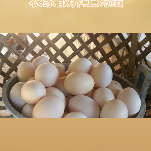 祁县农家土鸡蛋