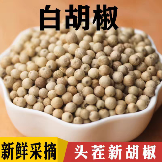 东莞市白胡椒粒海南精选白胡椒粒一级白胡椒家用白胡椒